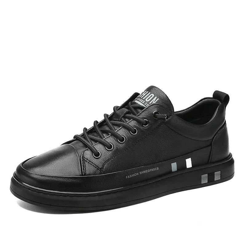 gid://shopify/MediaImage/24691967164510